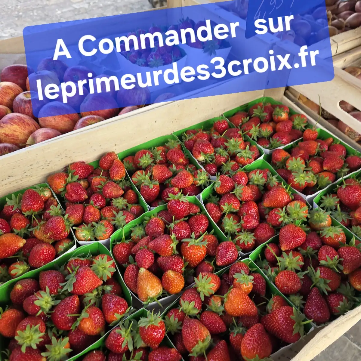 Fraises 1kg