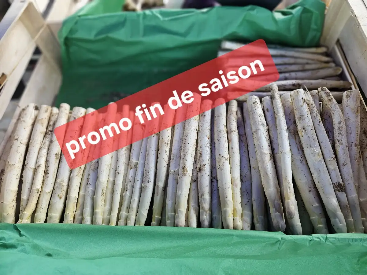 Asperges 1kg