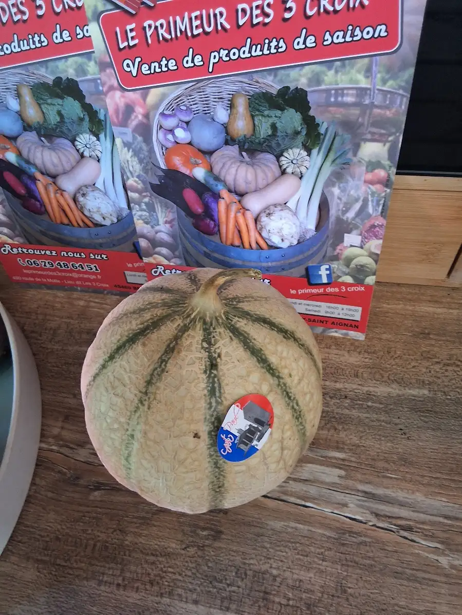 Melon