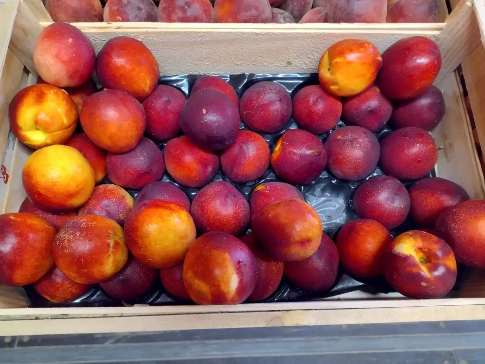 Nectarine jaune 500g