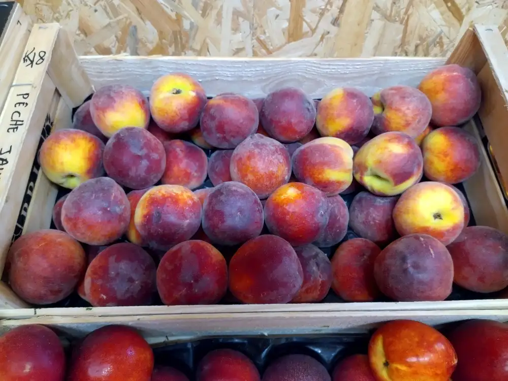Nectarine blanche 500g