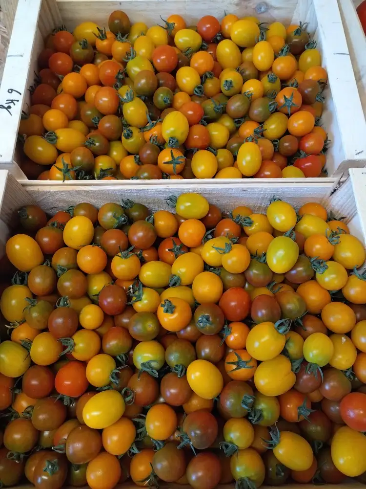 Tomates cerises 500g