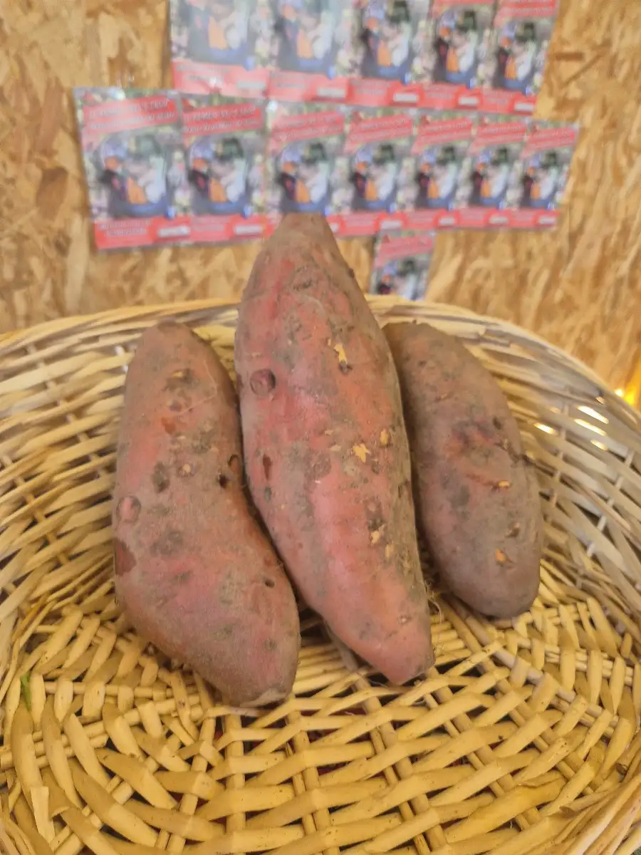 Patates douces ( par 500g)