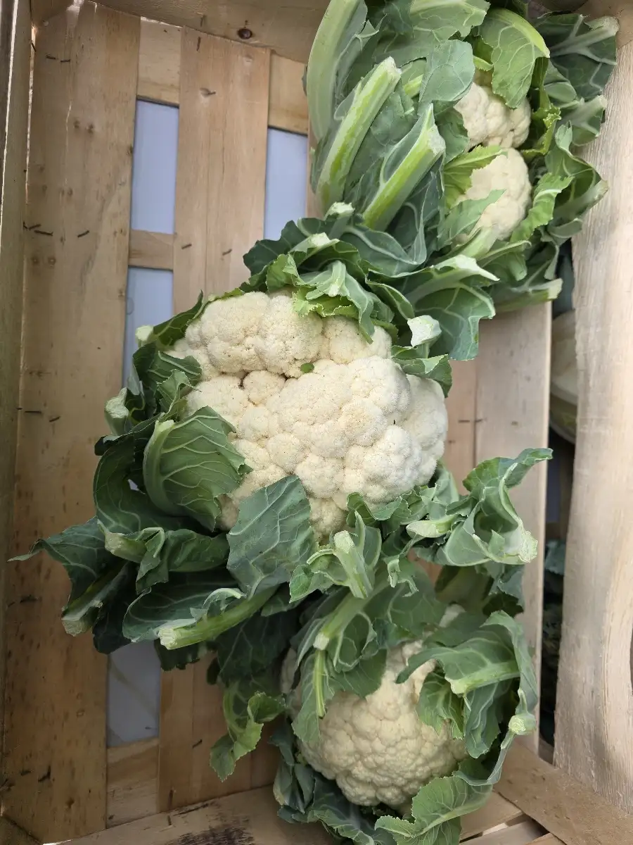 Chou fleurs (à  la piece)
