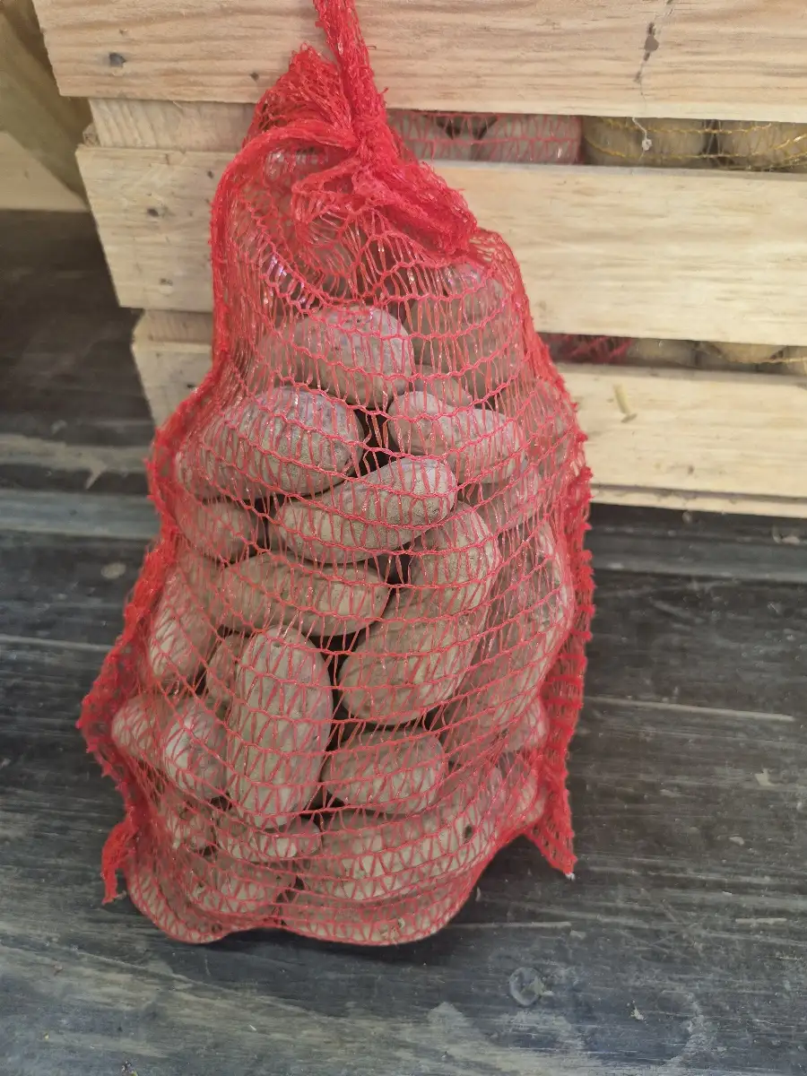 Sac 5kg pdt rouge