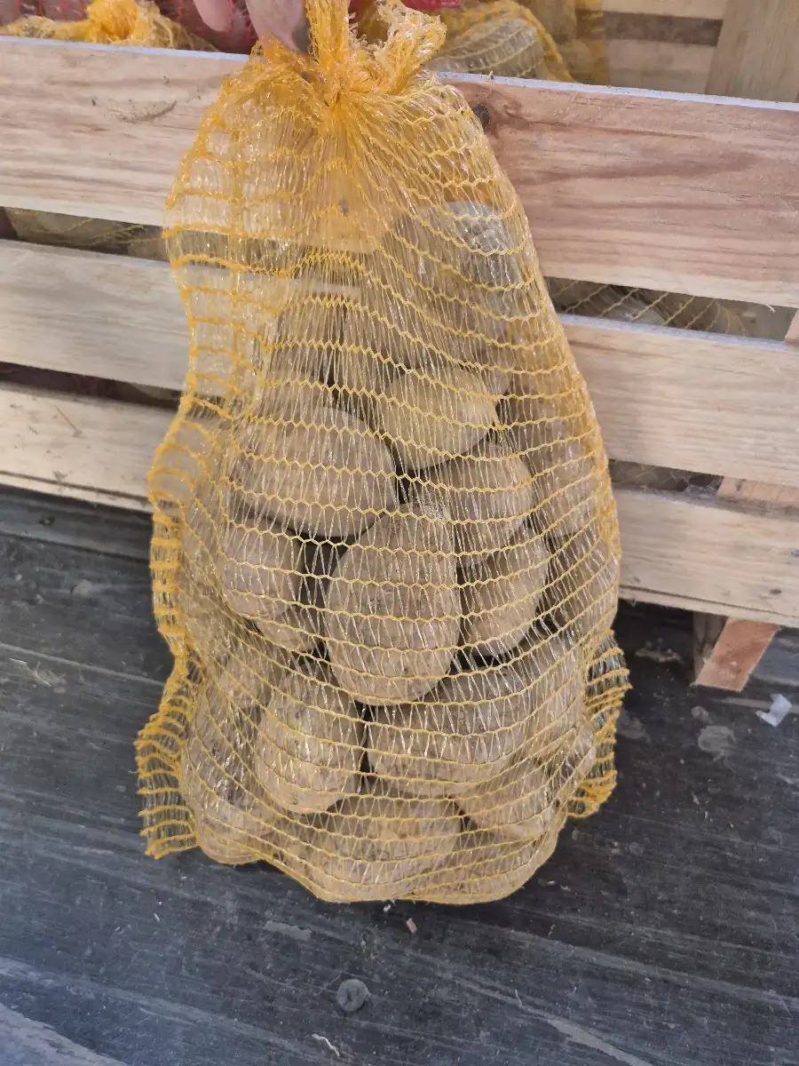 Sac 5kg jaune