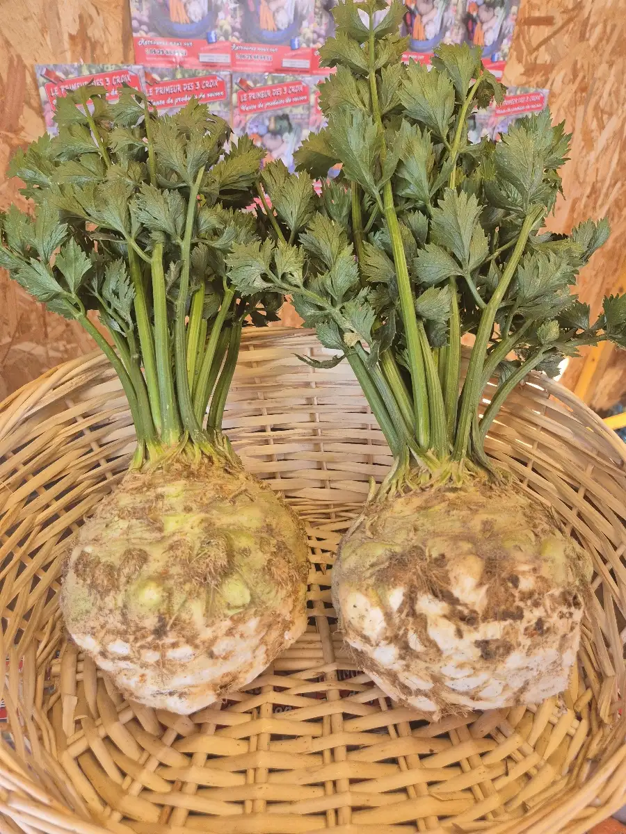 Céleri rave ( piece)