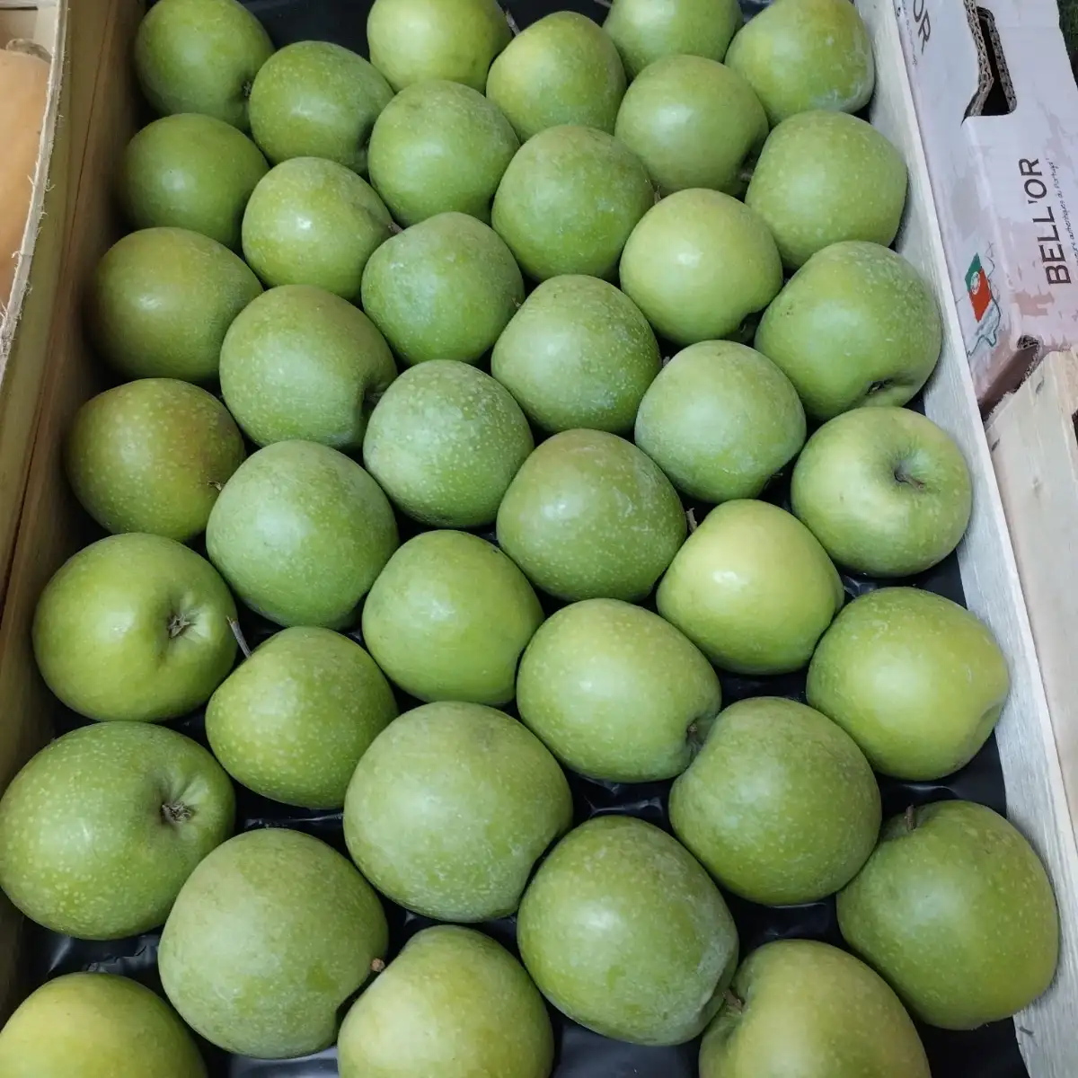 Pomme grany Smith 500g