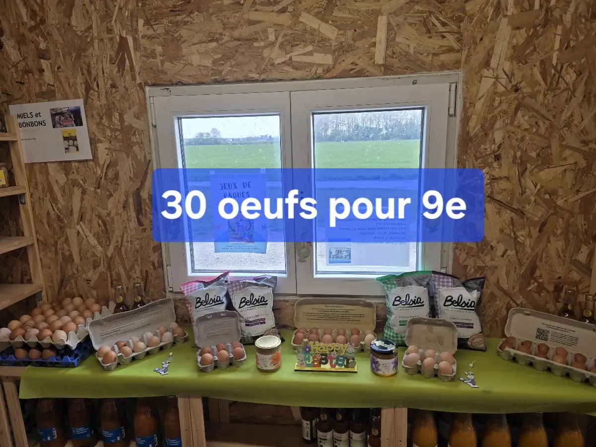 Promo oeufs 30