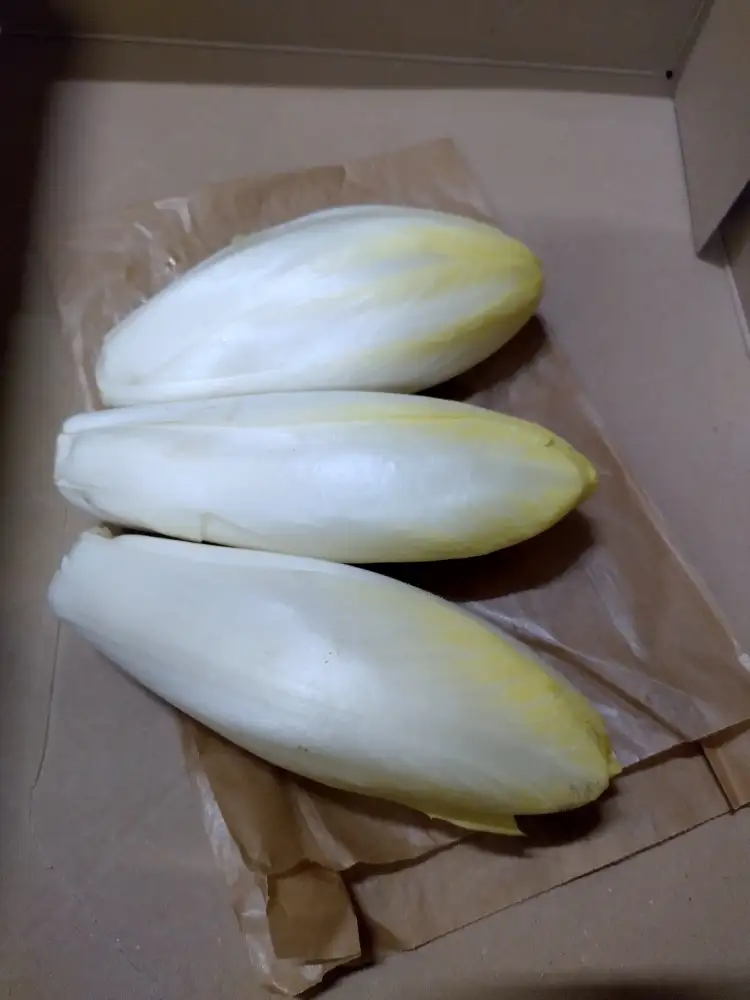 3 endives (sachets )