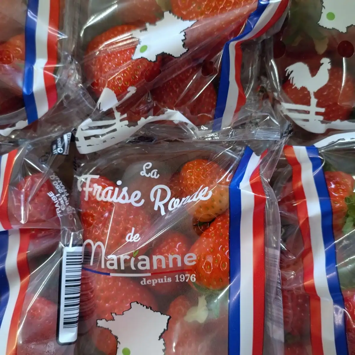 Fraises 250g
