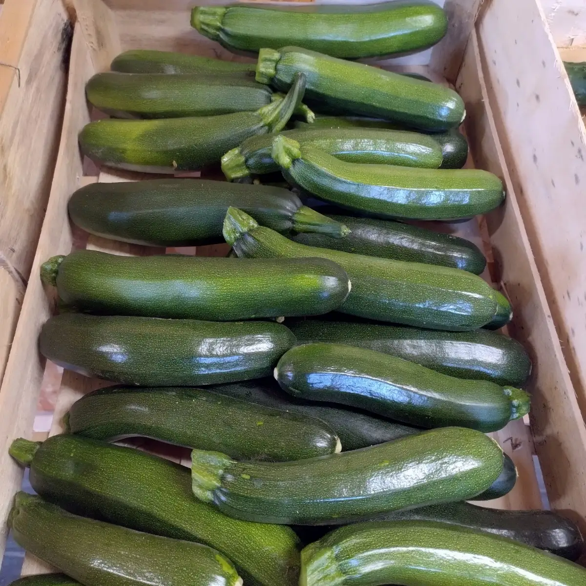 Courgettes 250g