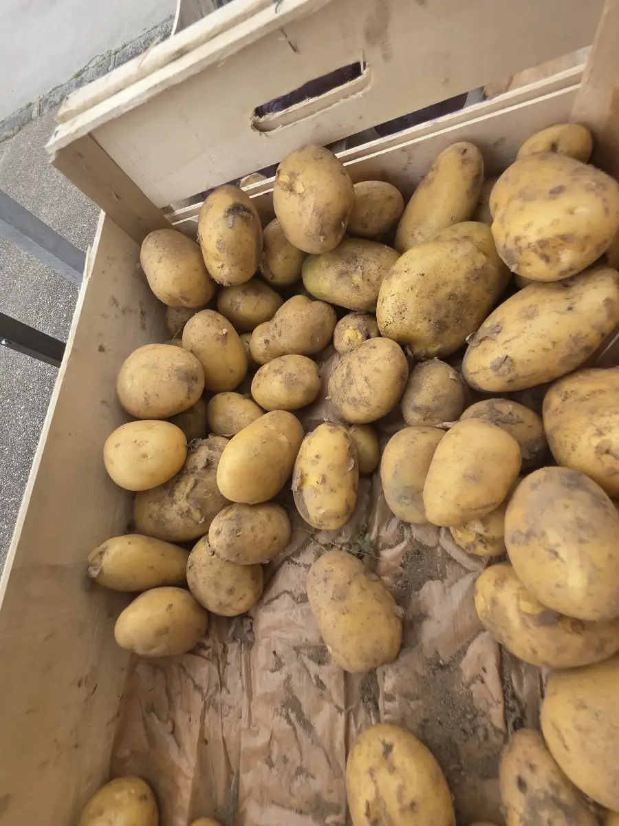 Pomme de terre nouvelle 1kg