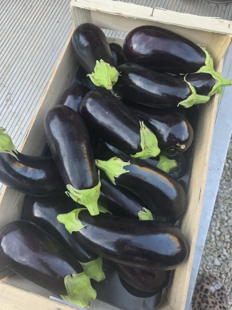 Aubergines  500g