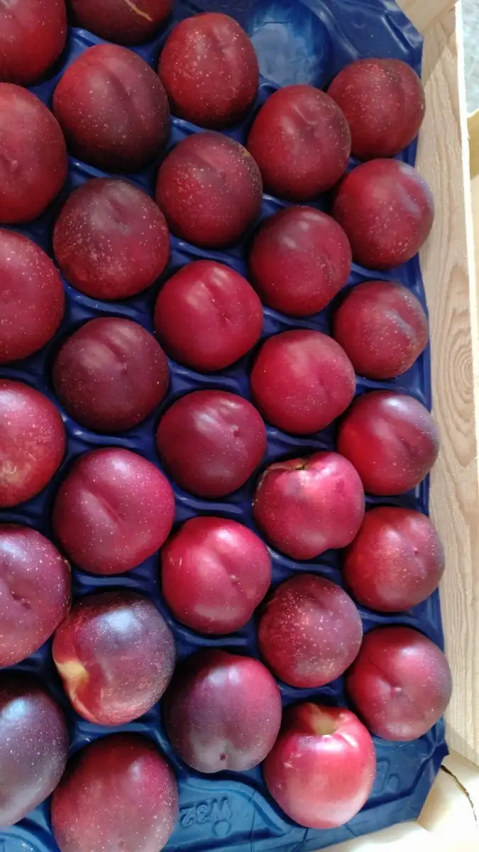 Nectarine 500g
