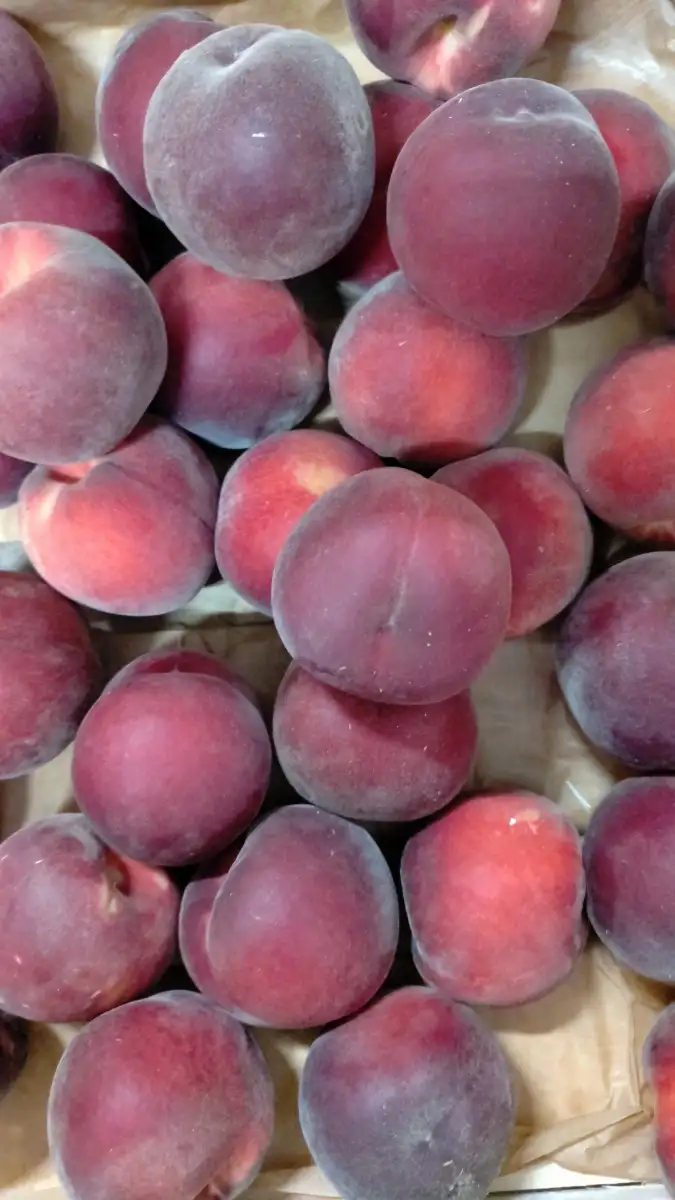 Pêche blanche 500g
