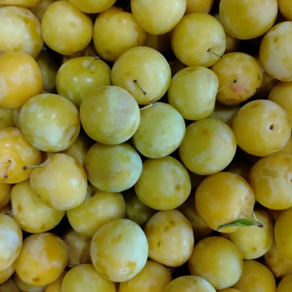 Prunes 250g