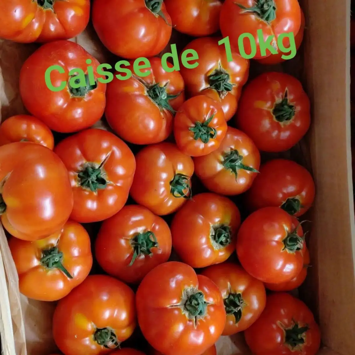 Tomate 10kg