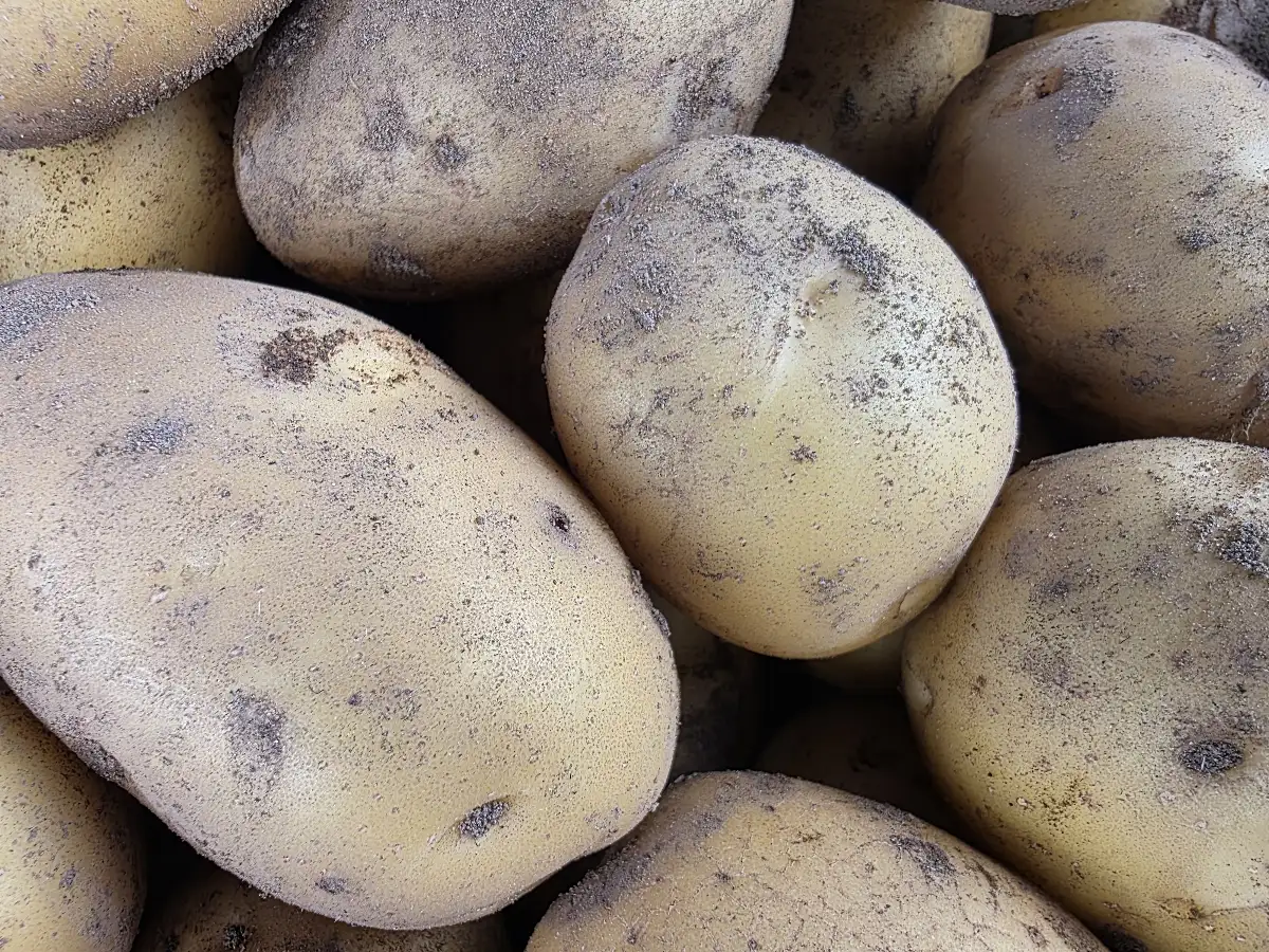 Pomme de terre  jaune (500g)