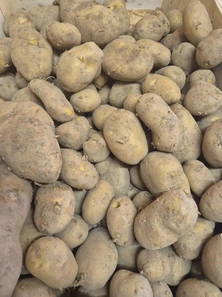Pomme de terre 1kg