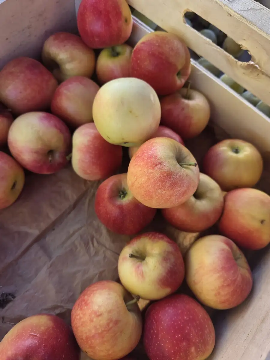 Pommes  500g