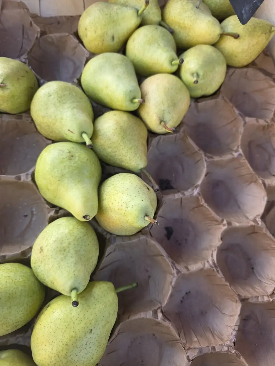 Poires 500g
