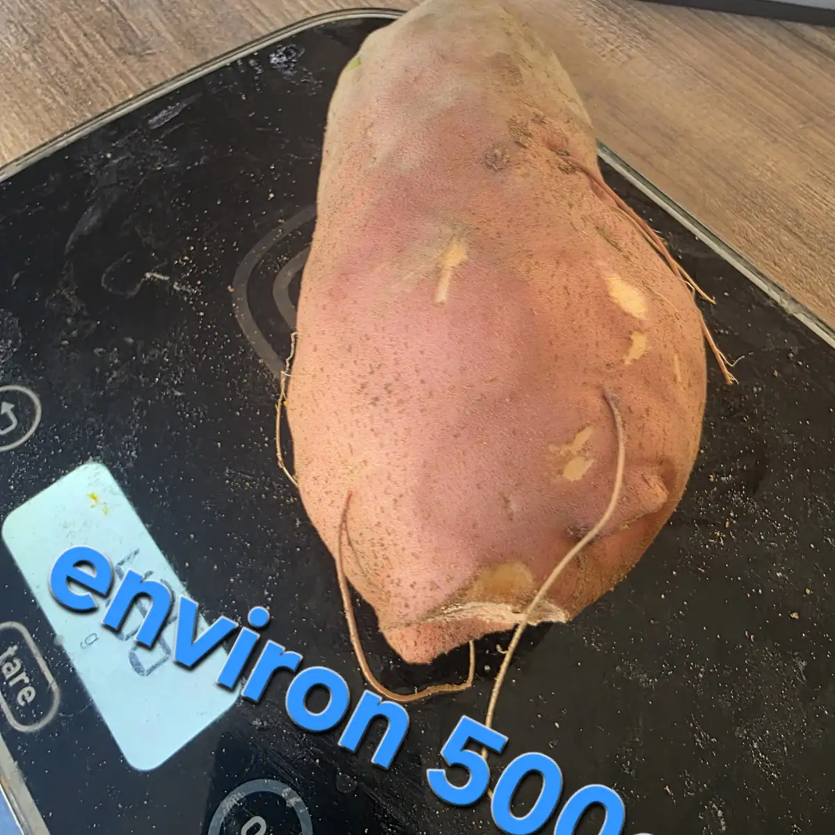 Patates douces ( par 500g)