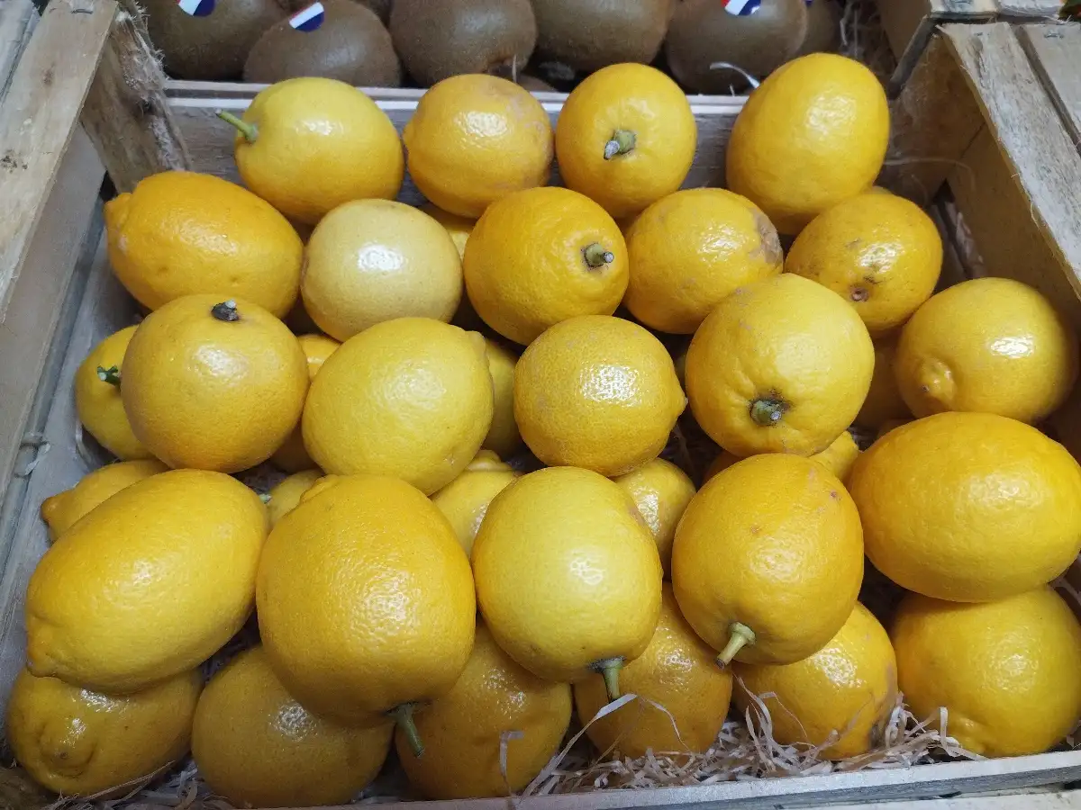 Citron