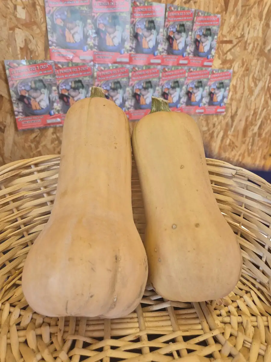 Butternut( piece)