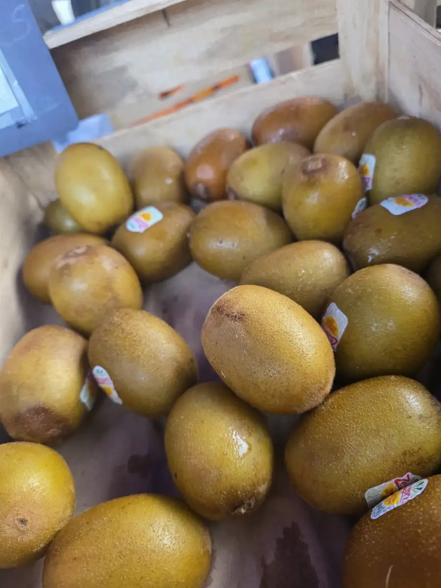Kiwi jaune à la pièce
