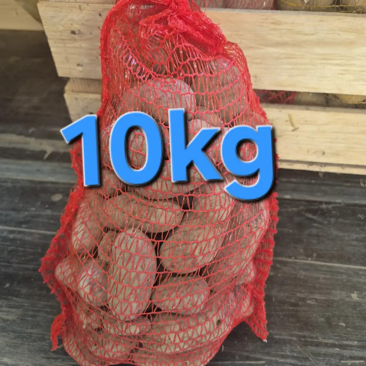 Pomme de terre rouge 10kg