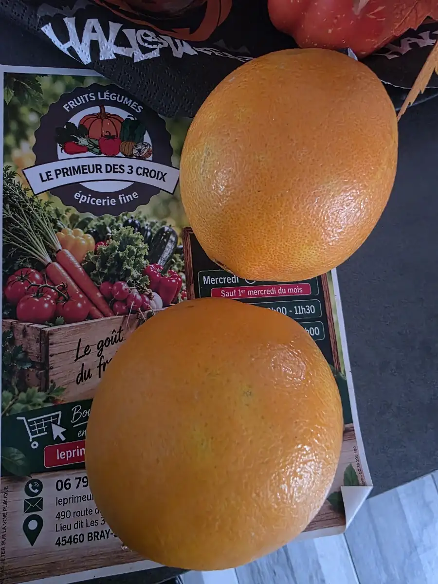 2 oranges portugal